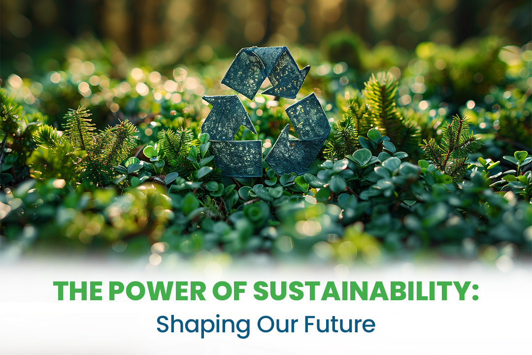 The Power of Sustainability: Shaping Our Future